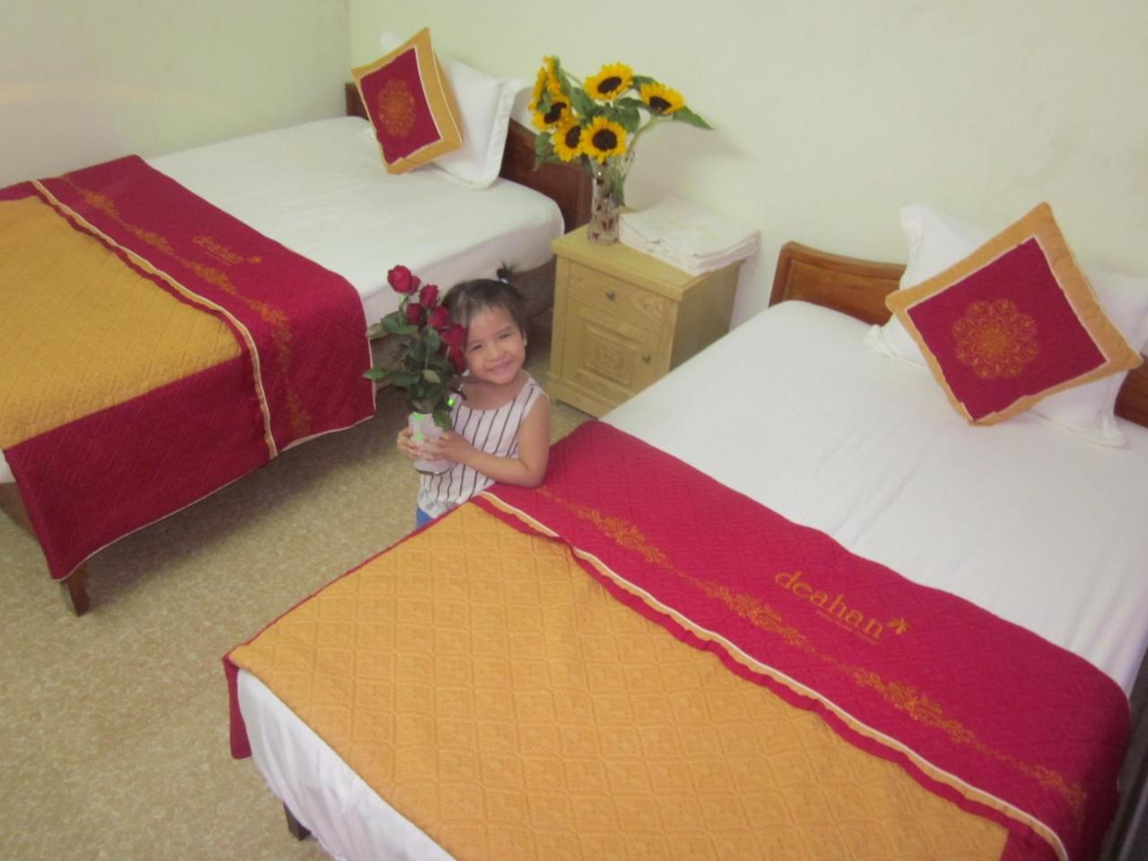 Thien Phu Hostel Phong Nha Eksteriør billede